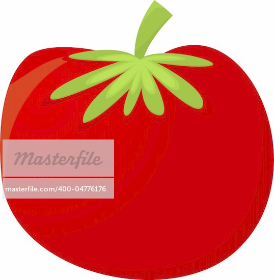 Tomato Vector Free