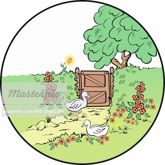 Flower Garden Cartoon