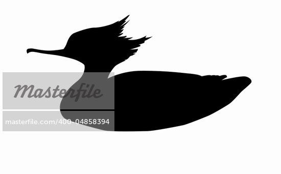 cartoon duck silhouette