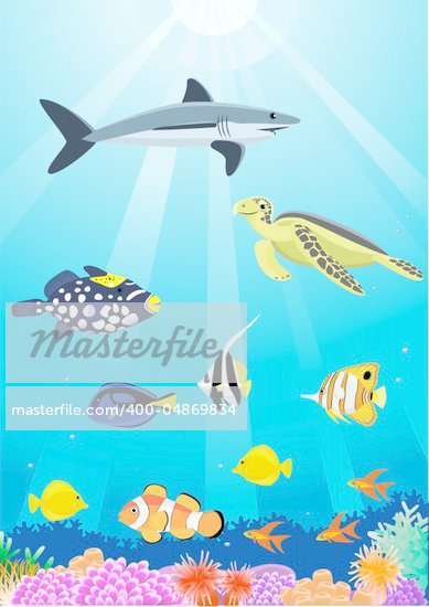 marine life cartoon