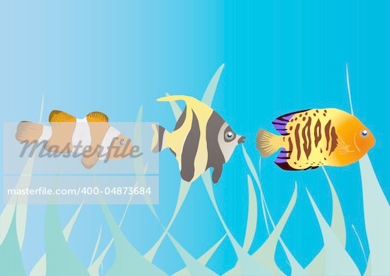 Ocean Life Clipart