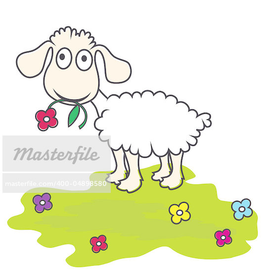 Baby Sheep Cartoon