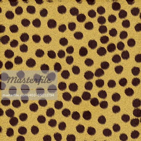 Cheetah Cloth