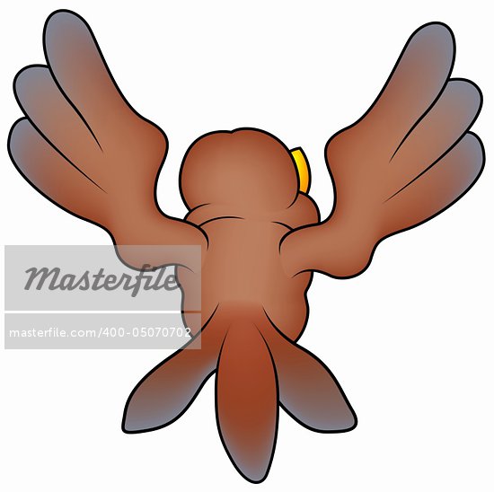 Flying Sparrow Drawing