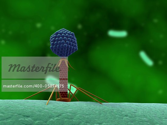 bacteriophage wallpaper