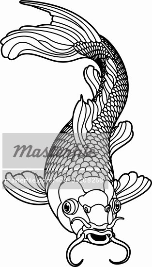 A beautiful koi carp fish illustration in monochrome