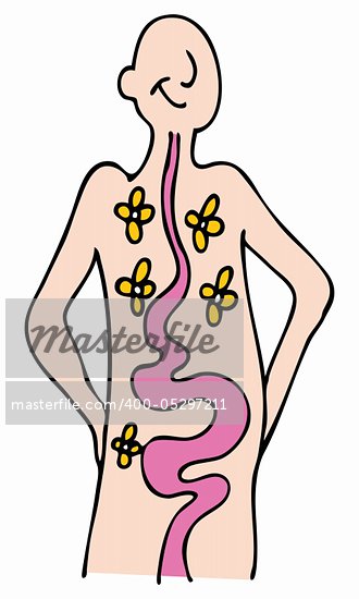 Cartoon Human Intestines