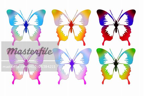 butterfly flying sequence