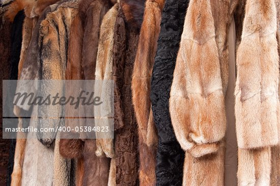 animal fur clothing