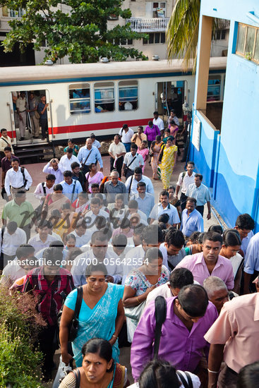 Sri Lankan Crowd