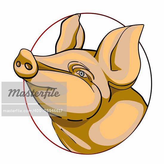 Cartoon Pig Head