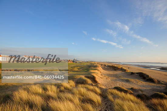 Crosby Beach Merseyside