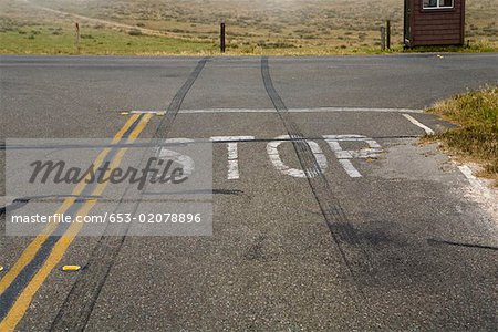 653-02078896em-Tire-marks-skidding-across-a-Stop-Sign.jpg