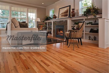  - 700-05800526em-Residential-interior-living-room-space-with-fireplace-and-hardwood-flo