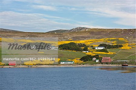  - 862-05997604em-The-farm-of-Roddy-and-Lily-Napier-on-West-Point-Island-in-West-Falklan