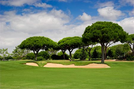 simsearch:700-00053425,k - Beautiful picture of a golf camp with pine trees Stock Photo - Budget Royalty-Free & Subscription, Code: 400-04000439