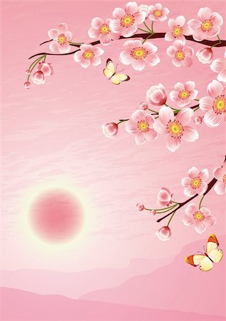 simsearch:400-04882926,k - Vector illustration -  cherry blossom Stock Photo - Budget Royalty-Free & Subscription, Code: 400-04001332