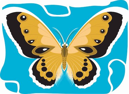 simsearch:400-06912266,k - Illustration  of Butterfly in   Flying, Stock Photo - Budget Royalty-Free & Subscription, Code: 400-04002548