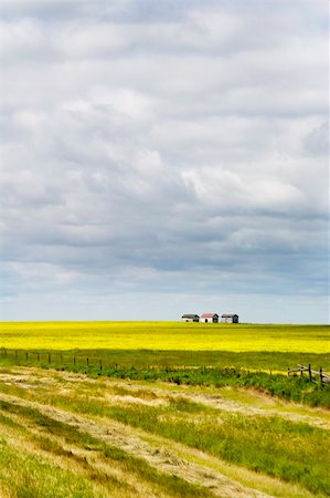 farmland saskatchewan - Prairie Landscape with some old granaries in the distance. Stock Photo - Budget Royalty-Free & Subscription, Code: 400-04015765