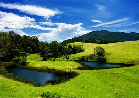simsearch:400-04436530,k - Gorgeous Meadows in the Bega Valley Stock Photo - Budget Royalty-Free & Subscription, Code: 400-04016292