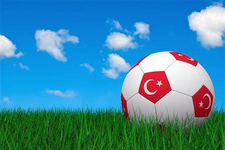 simsearch:400-05747264,k - Turkish soccer ball laying on the grass Stock Photo - Budget Royalty-Free & Subscription, Code: 400-04018480
