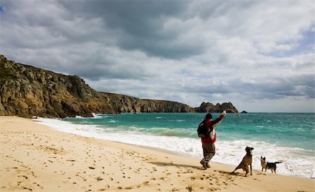 dog stick - A man playing fetch with a stick and 2 dogs on a Cornish beach Stock Photo - Budget Royalty-Free & Subscription, Code: 400-04013561