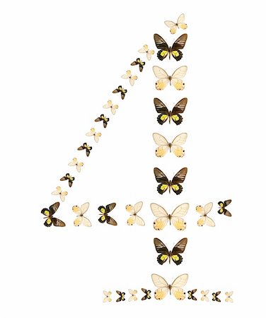 simsearch:400-07518693,k - Four number butterfly show isolated Stock Photo - Budget Royalty-Free & Subscription, Code: 400-04025251