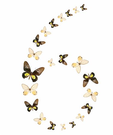 simsearch:400-07518693,k - Six number butterfly show isolated Stock Photo - Budget Royalty-Free & Subscription, Code: 400-04025495