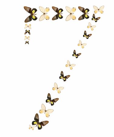 simsearch:400-07518693,k - Seven number butterfly show isolated Stock Photo - Budget Royalty-Free & Subscription, Code: 400-04025752
