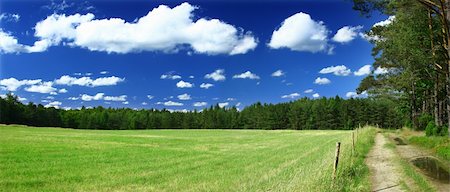 simsearch:400-03991406,k - panoramic view on grass field, forest and a path Stock Photo - Budget Royalty-Free & Subscription, Code: 400-04027952