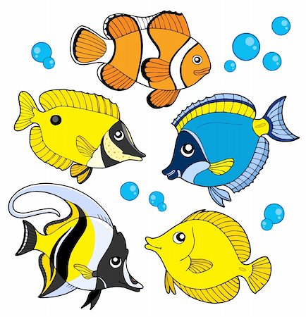 simsearch:400-04052109,k - Coral fish collection - vector illustration. Stock Photo - Budget Royalty-Free & Subscription, Code: 400-04029403