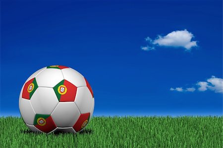 portugal soccer ball - Portuguese soccer ball laying on the grass Stock Photo - Budget Royalty-Free & Subscription, Code: 400-04021566