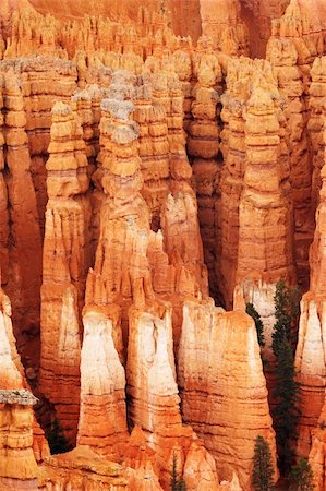 simsearch:400-04021596,k - Bryce Canyon National Park, seen  from Sunset Point, is a giant natural amphitheater Foto de stock - Super Valor sin royalties y Suscripción, Código: 400-04022681