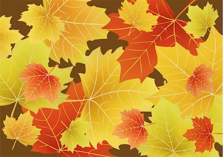 simsearch:400-06327292,k - Vector illustration of Beautiful autumn leaves drift across the page. Stock Photo - Budget Royalty-Free & Subscription, Code: 400-04034811