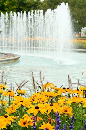 lavender and rudbeckia hirta flowers besides a water fountain Stock Photo - Budget Royalty-Free & Subscription, Code: 400-04034830