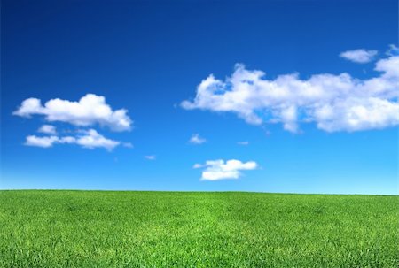 simsearch:400-03991406,k - view of peaceful grassland, blue sky above, focus set in foreground Stock Photo - Budget Royalty-Free & Subscription, Code: 400-04036258