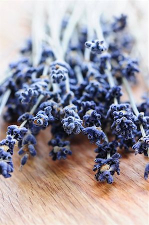 dried human bodies - Bunch of dried lavender herb close up Stock Photo - Budget Royalty-Free & Subscription, Code: 400-04032220