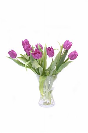 simsearch:400-04876274,k - nice violet flowers on the white background Stock Photo - Budget Royalty-Free & Subscription, Code: 400-04033122
