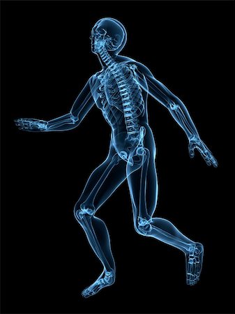 3d rendered x-ray illustration of a human skeleton Stock Photo - Budget Royalty-Free & Subscription, Code: 400-04048477