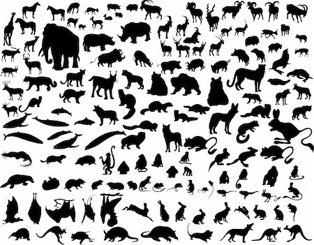 simsearch:400-04280168,k - Big collection of different illustration vector animals Stock Photo - Budget Royalty-Free & Subscription, Code: 400-04057985