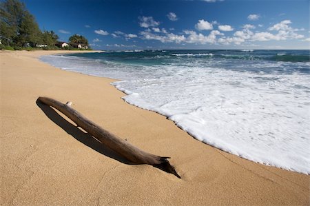 Tropical Shoreline and Driftwood on Kauai, Hawaii Stock Photo - Budget Royalty-Free & Subscription, Code: 400-04050646