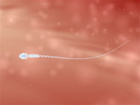 3d rendered close up of a sperm Stock Photo - Budget Royalty-Free & Subscription, Code: 400-04053385