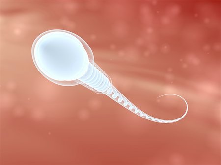 3d rendered close up of a sperm Stock Photo - Budget Royalty-Free & Subscription, Code: 400-04053386