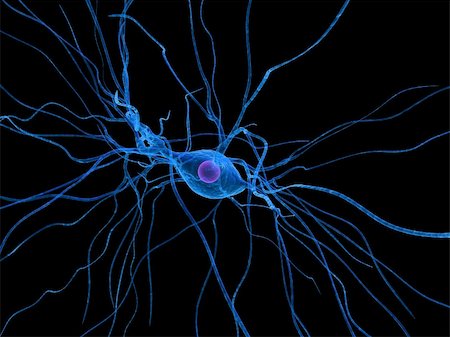 3d rendered close up of a neuron cell Foto de stock - Super Valor sin royalties y Suscripción, Código: 400-04053412