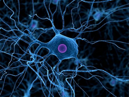 3d rendered close up of an isolated nerve cell Stock Photo - Budget Royalty-Free & Subscription, Code: 400-04068190
