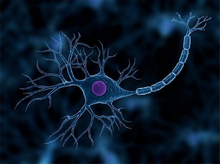 3d rendered close up of an isolated nerve cell Stock Photo - Budget Royalty-Free & Subscription, Code: 400-04068191