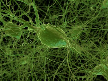 3d rendered illustration of some nerve cells Foto de stock - Super Valor sin royalties y Suscripción, Código: 400-04068510