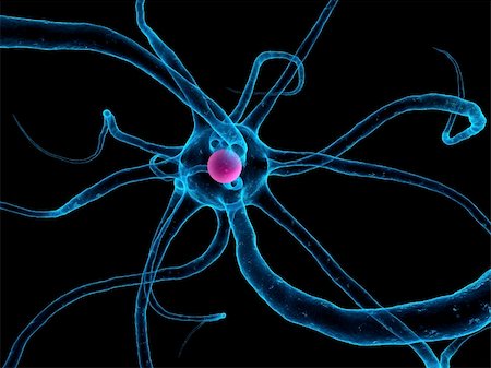 3d rendered close up of a human nerve cell Foto de stock - Super Valor sin royalties y Suscripción, Código: 400-04069212