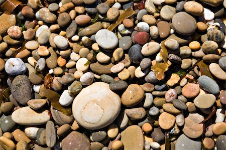 simsearch:400-04114367,k - Photo of wet pebbles at the beach. Abstract background. Stock Photo - Budget Royalty-Free & Subscription, Code: 400-04069995