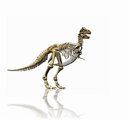 A illustration of a huge t-rex skeleton Stock Photo - Budget Royalty-Free & Subscription, Code: 400-04062725